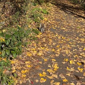 Meet your Posher, Jihane